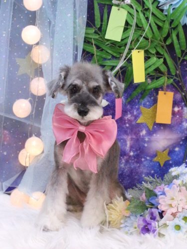 20250705ラーラちゃん